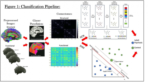 A flow chart of the classification pipeline starting with the preprocessed fMRI images, progressing through parcellation and connectome generation. then finally, branching to either SVM or GCN classification.